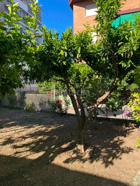 Foto 7681755f-2547-41e1-8d55-a28b18f4647e. Casa amb calefacció aparcament a Los Pinos - El Pilar Plasencia