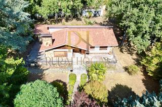 Haus  Calle josé antonio. La vecilla: oportunida unca, casa de planta baja con terreno!!