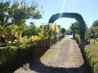 Mas à Valverde de la Virgen. La virgen del camino finca de recreo a 10 minutos de león!!
