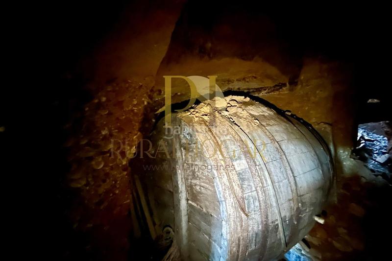 Foto 47226dd1-198a-47d8-a75c-e725833f0af5. Fondo rustico in Trobajo del camino