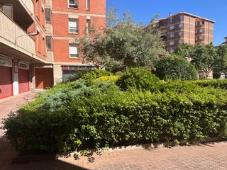 Planta baixa  Via aurelia. 3 proyectos de cambio de uso en concordia