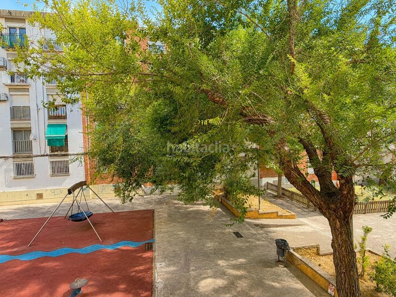 Foto 9d26a0a7-4e0a-4a44-a482-045716e0b3a1. Pis a Can Rull Sabadell