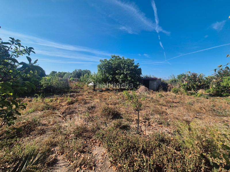 Foto 1d08f6e6-2dc8-46bc-b2dd-7958eeb27108. Masía en diseminado casetas soto alfocea 9167 fnca rústica en almozara en Zaragoza