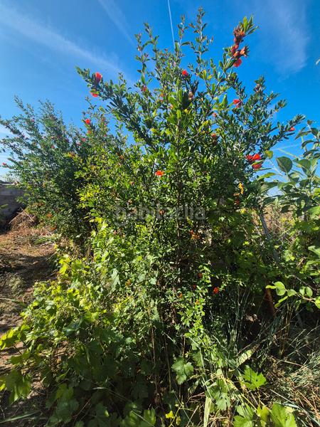 Foto be38b0da-be74-4e15-8565-75d0a5f3c48e. Masía en diseminado casetas soto alfocea 9167 fnca rústica en almozara en Zaragoza