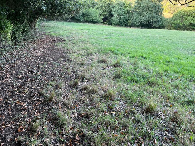 Foto 0db4935d-bb49-42b0-a1b6-2632ea140f67. Terreny residencial a veranes a Cenero Gijón