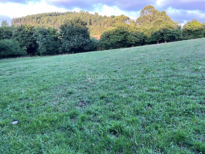 Foto d93788dc-61f5-4370-b470-96fd1a32fd3b. Terreny residencial a veranes a Cenero Gijón