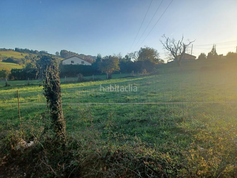 Foto 440e4121-bbb6-4fb3-a4e0-2622a27cafaf. Terreny residencial a cm de lleme 238 a Cenero Gijón
