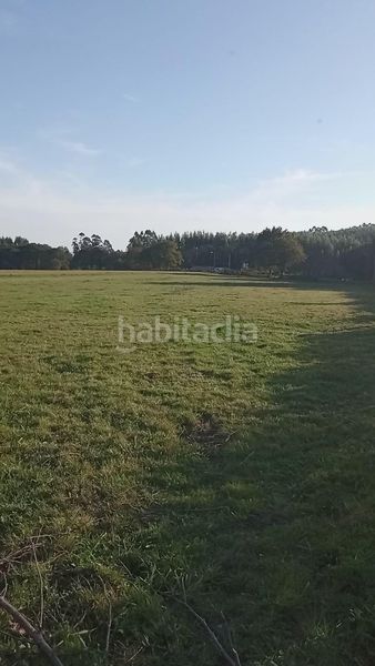 Foto 86ba2e37-5cbc-4d77-bdac-ba141c966b33. Finca rústica a Melide