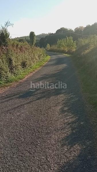 Foto ae4f8865-52f3-40b2-803b-979257fb3dd0. Finca rústica a Melide
