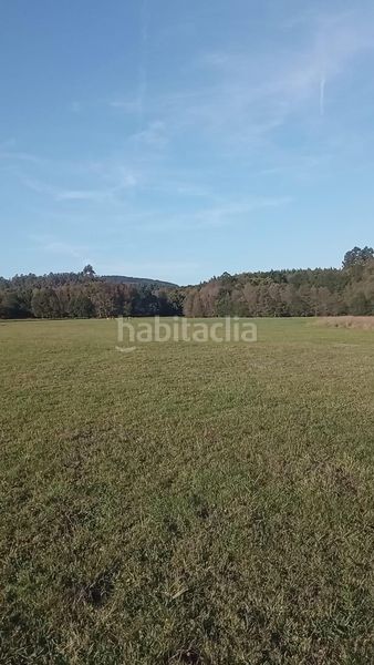 Foto b6829940-8822-47a8-ba60-c4c0df1318e1. Finca rústica a Melide