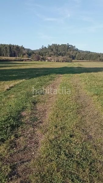 Foto f6db4155-79a4-4881-a4e6-0279ea00b7a6. Finca rústica a Melide