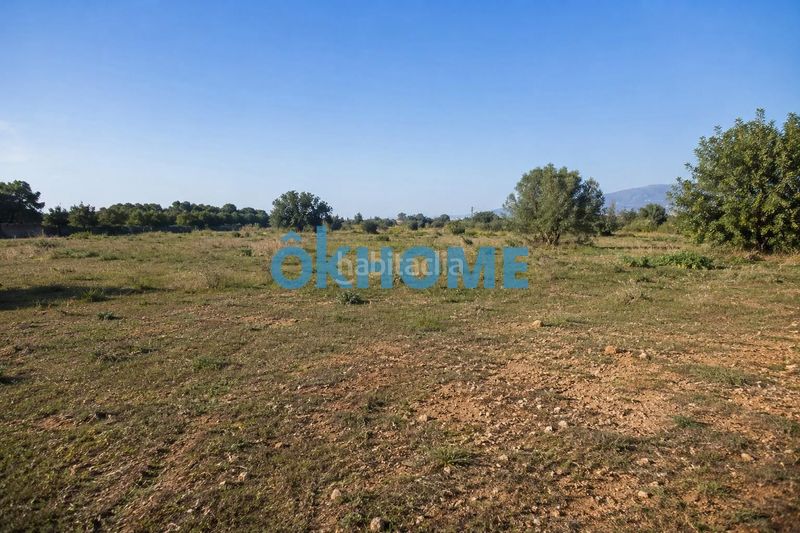 Foto 4a24d81a-d224-4ea0-b470-ed3423e8da6e. Finca rústica a Puçol ciudad Puçol