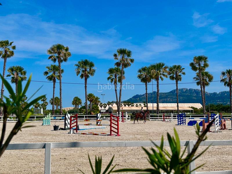 Foto f78bcd25-1535-4fc0-a094-6b1cba77bfc2. Piso comodidad junto al mar — con solárium, cenador y piscina en Oliva