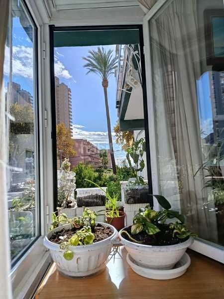 Foto 4fac2245-93ad-43ed-9dc3-9f949e01e94d. Apartament a Playa Levante Benidorm