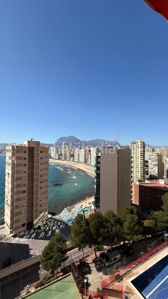 Foto 5e73cc29-57c2-4f4a-8b4b-64c31e23de9c. Apartament amb piscina a Rincón Alto Benidorm