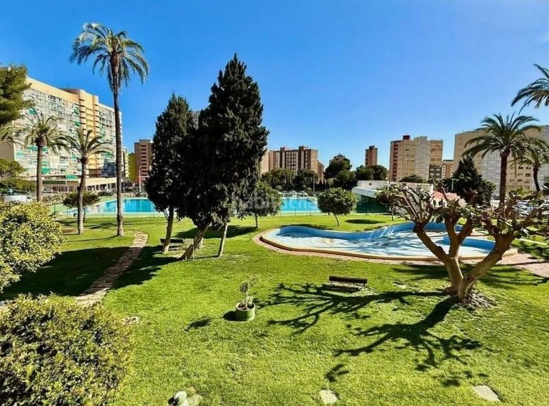 Foto af2cbc93-1029-48ad-aec3-30d7f601eaf1. Pis amb aparcament a Juzgados - Plaza de Toros Benidorm