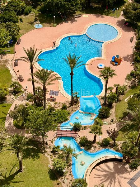 Foto 1ab48e8c-1840-4b64-949e-d204682ff2a3. Apartament amb calefacció aparcament piscina a Playa Poniente Benidorm