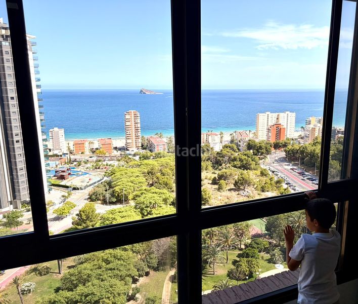 Foto 252edf50-97c8-4942-ad2a-910c6dba048d. Apartament amb calefacció aparcament piscina a Playa Poniente Benidorm