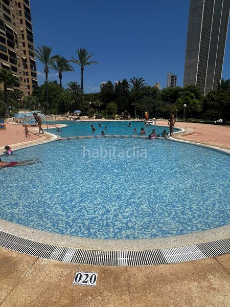 Foto b360788a-d8bd-4bc2-b8f8-127c2b56f405. Apartament amb calefacció aparcament piscina a Playa Poniente Benidorm