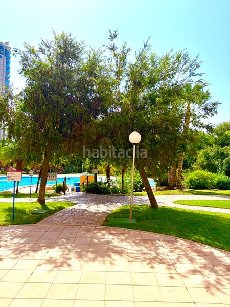 Foto bd1f7675-8b27-46cd-b0c6-578c6c59ed78. Apartament amb calefacció aparcament piscina a Playa Poniente Benidorm