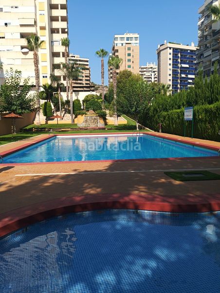 Foto 2c54e196-51f4-4ee2-9f39-775c770a5acf. Apartament amb calefacció piscina a Juzgados - Plaza de Toros Benidorm