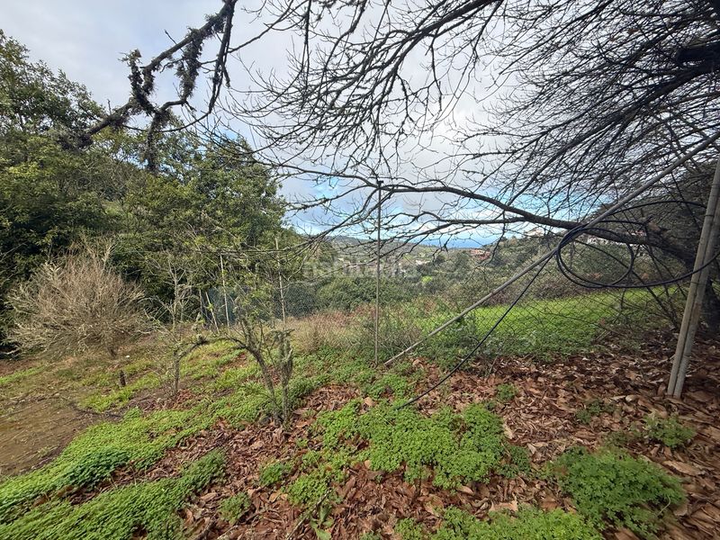 Foto 41a9781f-0080-4a78-89a5-56b4d358ae03. Finca rústica a Valleseco