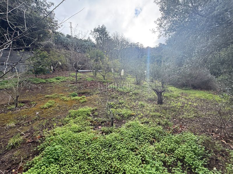 Foto 828a4103-d012-44d2-93cc-e144f84863c1. Finca rústica a Valleseco