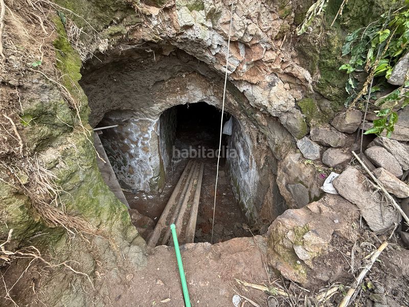 Foto a9a5db83-6e93-4f3f-8fce-2486b32990a1. Masia a El Álamo - Arbejales Teror