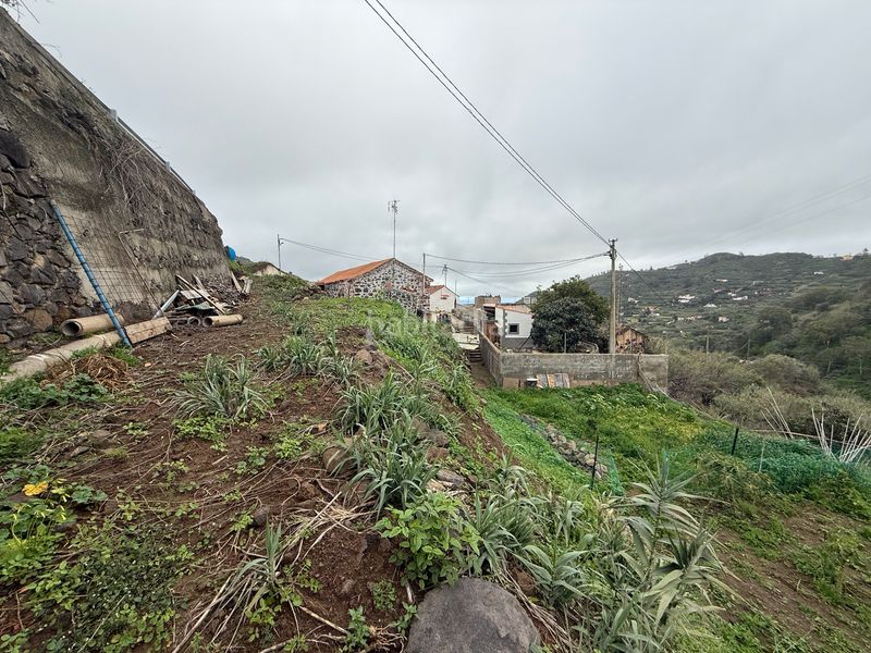 Foto b370f7a3-8e7a-4049-a16f-a40820d112dc. Masia a El Álamo - Arbejales Teror