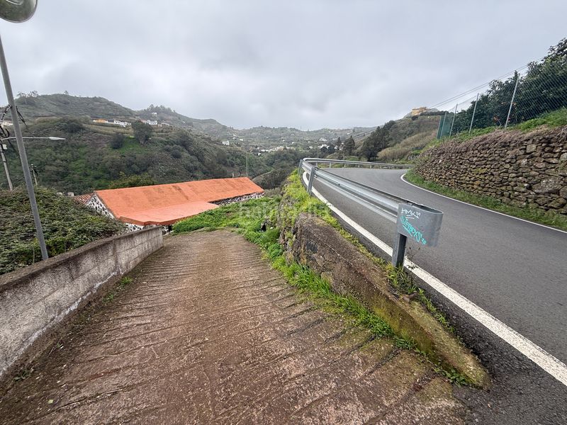 Foto d5734693-a285-4632-89b3-bf9629098b09. Masia a El Álamo - Arbejales Teror
