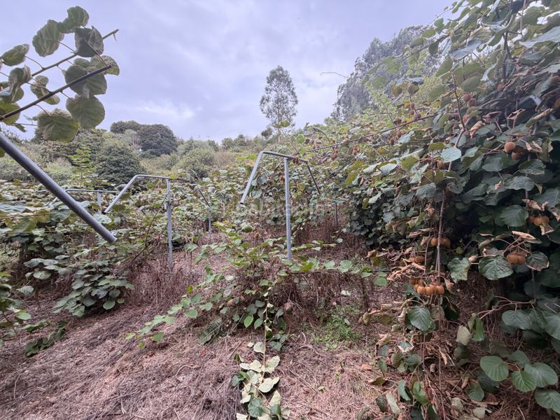 Foto 97487f46-d717-4b86-86fa-3736c059ba73. Finca rústica a Valleseco