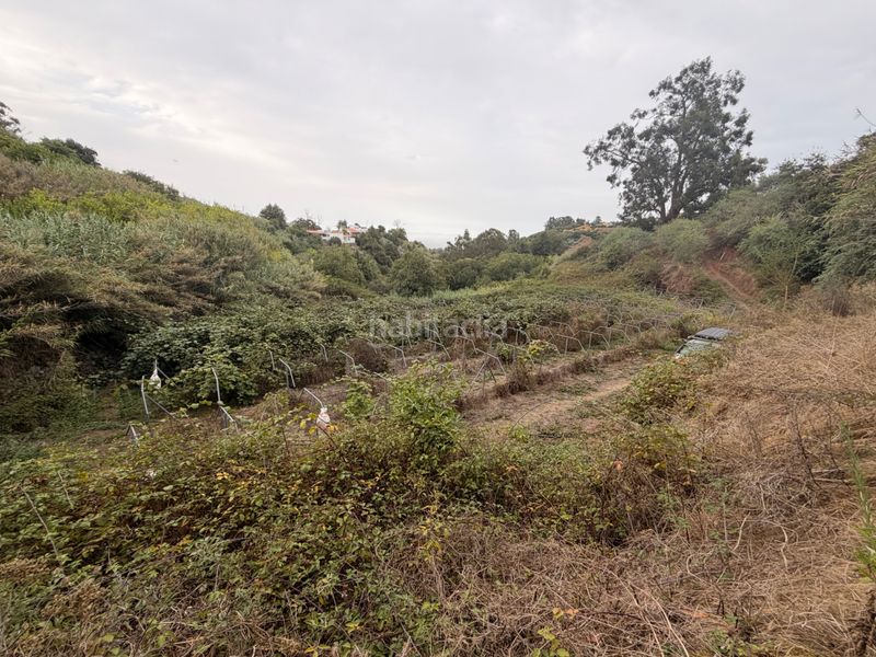 Foto ed622539-5384-4deb-8b53-cdb70b6a816c. Finca rústica a Valleseco