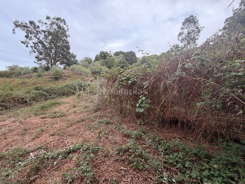 Foto 7eb564bf-6000-4dfe-801c-d7085523109d. Finca rústica en Valleseco