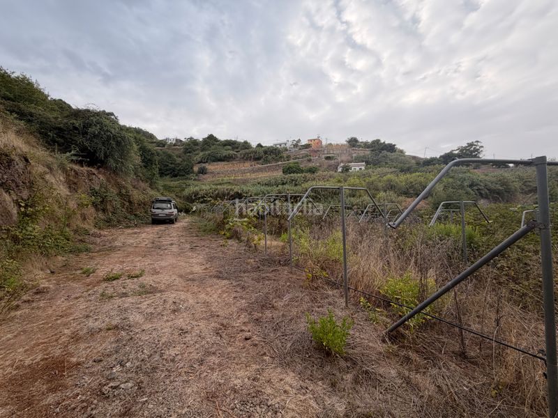 Foto a22a3009-20cd-4271-9fd5-849b0b4141c6. Finca rústica en Valleseco