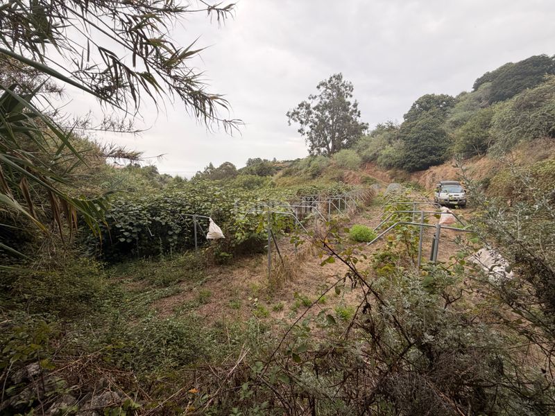 Foto d347fc3b-a4a3-45c8-9b90-ee15f70ef652. Finca rústica en Valleseco
