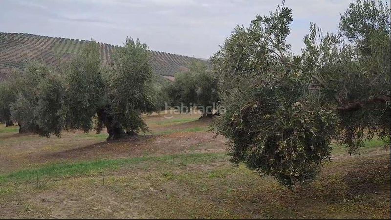 Foto 0532cdf9-f06b-4520-b446-095d95054d05. Finca rústica a Cañete de las Torres