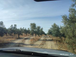 Finca rústica a Cañete de las Torres. F49- finca rústica en cañete