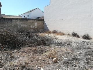 Terreny residencial a Cañete de las Torres. S39- solar para varias viviendas