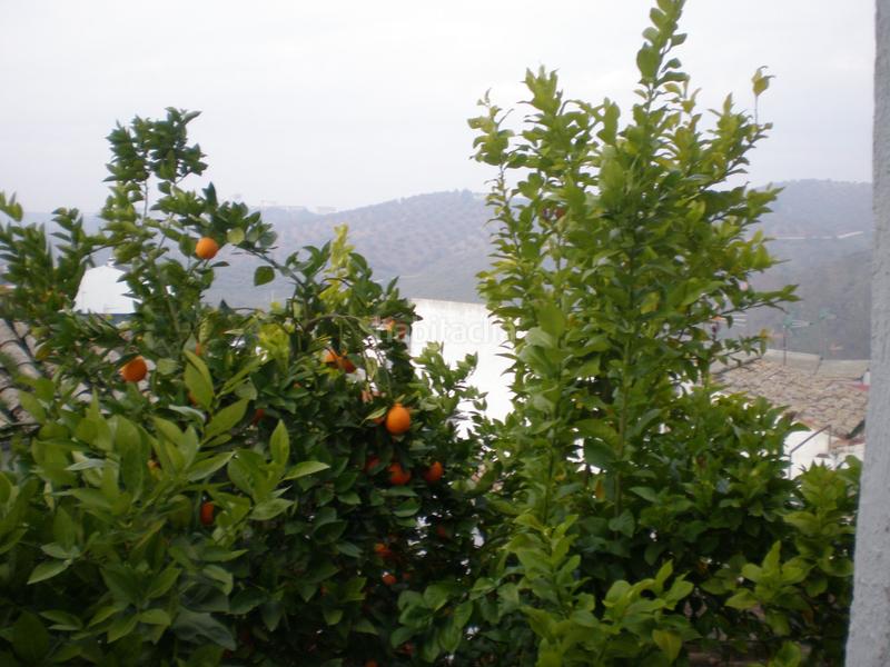 Foto 8a41adaa-fda3-4e74-84d8-49da1d62e0b6. Maison dans Montoro