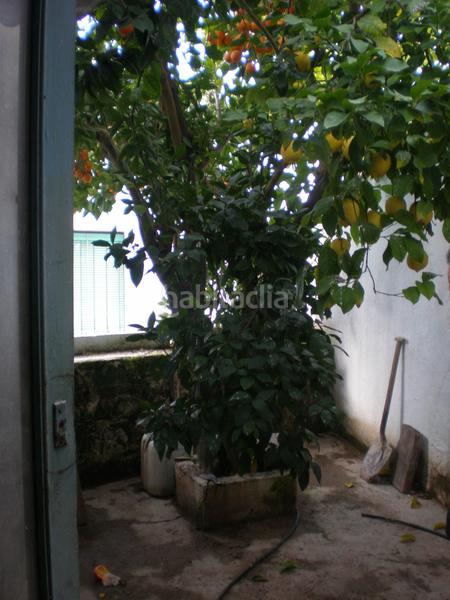 Foto d0548e13-88c2-4e47-a541-bf4e8f536b6c. Maison dans Montoro