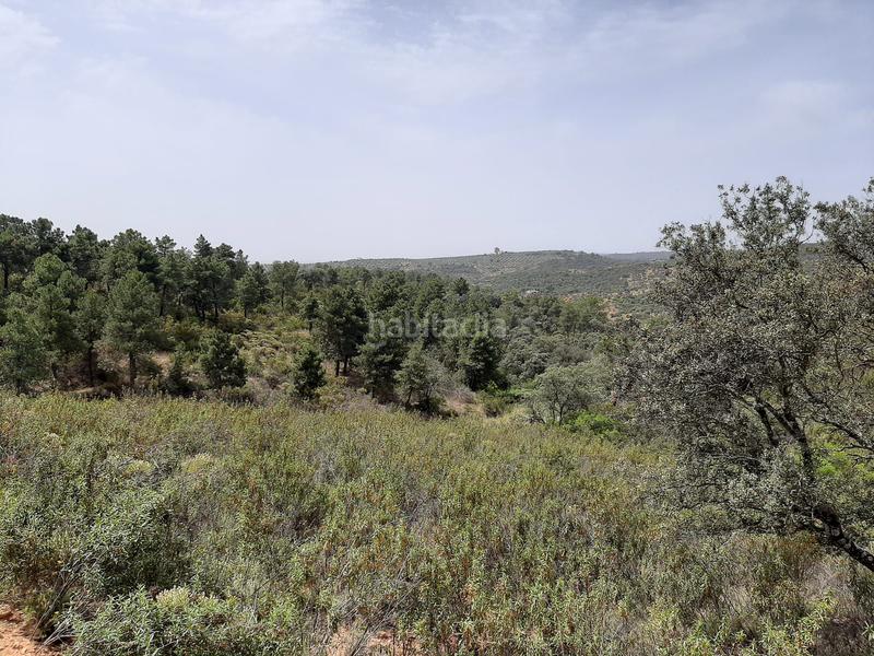 Foto 611c8c56-b526-4523-99cc-55a90aeaf5d1. Finca rústica a Montoro