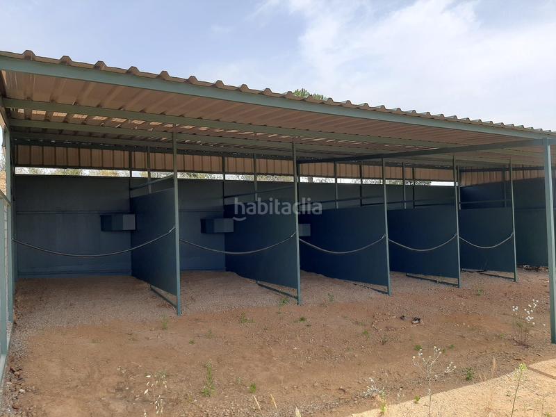 Foto 684daf4b-27e4-4482-85a0-aa83dac46af5. Finca rústica a Montoro