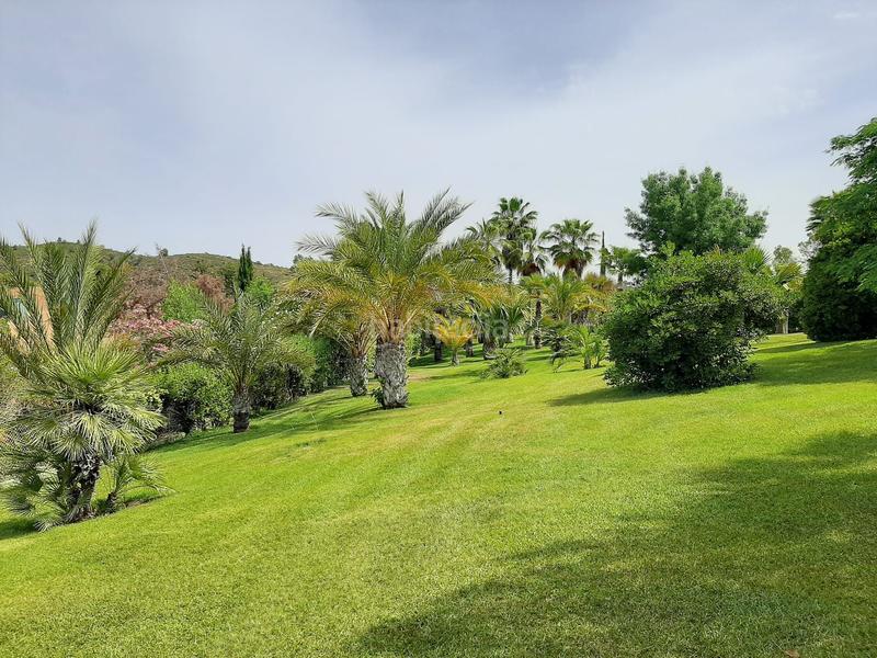 Foto 91680640-1ee9-4714-8eb8-691bb4c67288. Finca rústica a Montoro