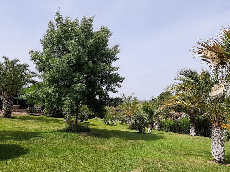 Foto cfea7a32-b230-480a-9608-c313da968e7a. Finca rústica a Montoro