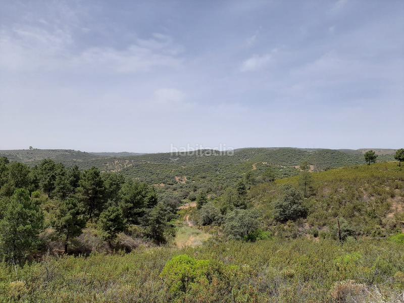 Foto d3f59439-977c-4862-b94e-1ed0c357d7c7. Finca rústica a Montoro