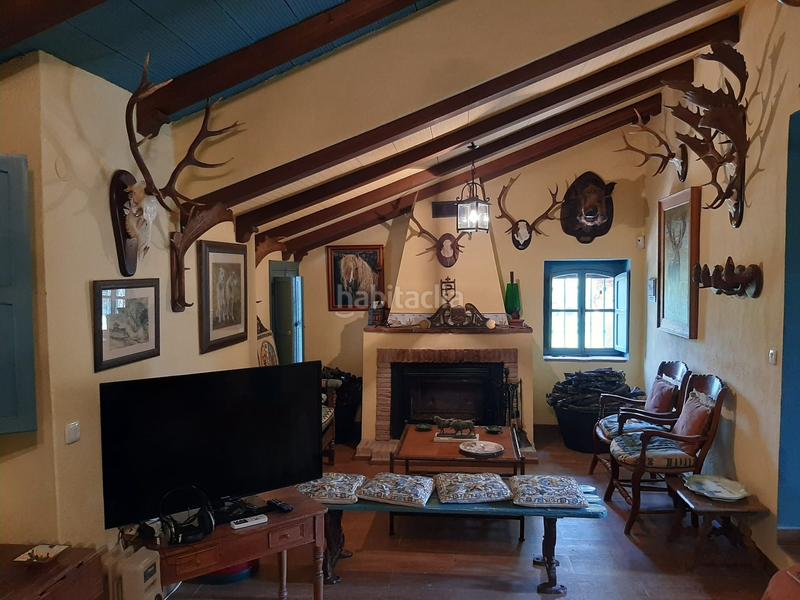 Foto e1b265af-79c7-4363-9d9e-d64c99bb1945. Finca rústica a Montoro