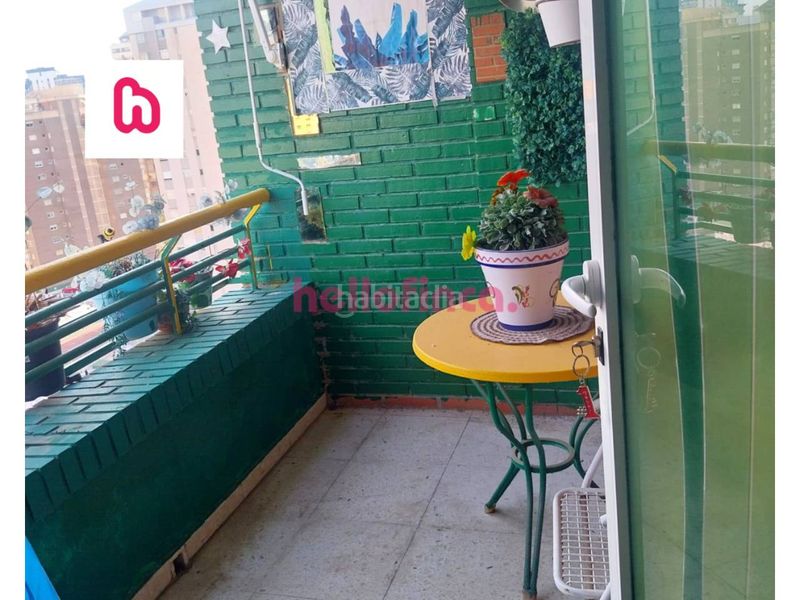 Foto 7871336e-79d3-4ca9-a52c-d8b7080e2fa7. Pis amb calefacció aparcament piscina a Juzgados - Plaza de Toros Benidorm