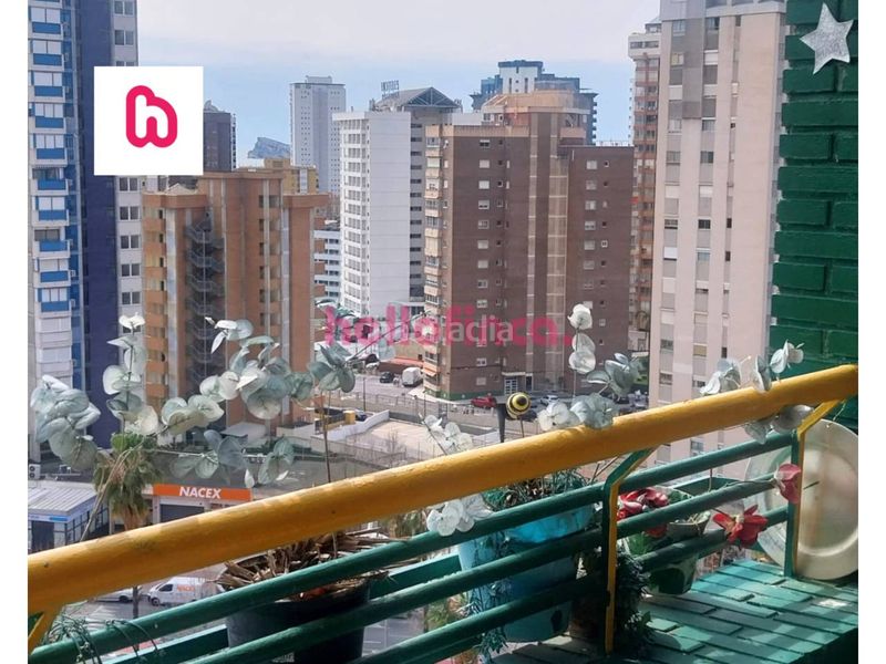 Foto 79054a01-9603-409c-a2ee-1f8290ac905c. Pis amb calefacció aparcament piscina a Juzgados - Plaza de Toros Benidorm