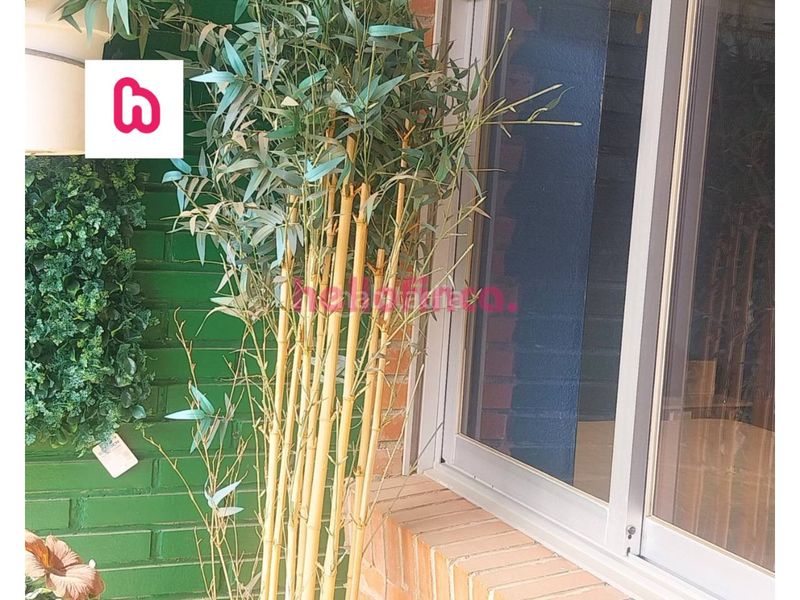 Foto a60e3336-1a4b-4df0-8854-53c7e2e3c5cf. Pis amb calefacció aparcament piscina a Juzgados - Plaza de Toros Benidorm