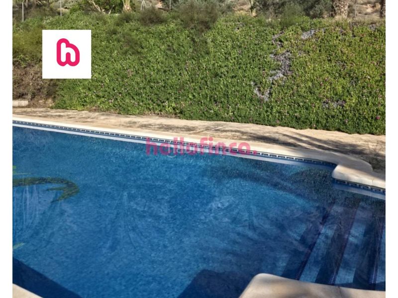 Foto 036cf200-a6a1-4dd2-a8da-779eb9dc8348. Masia amb calefacció aparcament piscina a Orihuela ciudad Orihuela